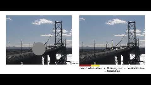 Gaze-contingent moving-Blindspot demo for visual search in dynamic scenes.