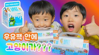 우유팩 안에 고양이가 들어있어요! 플레이도우 로스트 키티 랜덤 우유팩 피규어 뽑기 개봉기 크리스마스 선물 추천 인기 토이 아이들 장난감