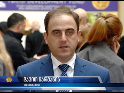 ლადო გუდიაშვილის სახელობის მოედნისა და მიმდებარე არეალის კონსერვაციის გეგმის პრეზენტაცია