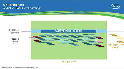 Ask a Scientist: What is On-Target Rate in NGS?