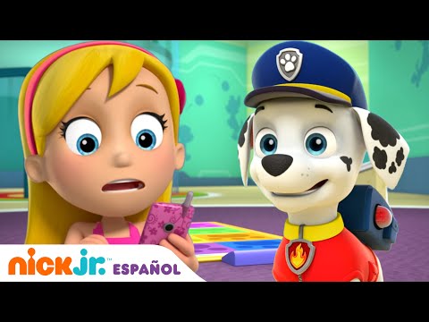 Video: Pregúntale a The Dogy Dogfathers: Planificando un día de padre frugal