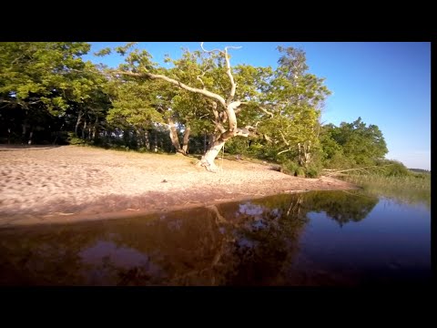 sNi-FPV - Flight of the day - Midsummer