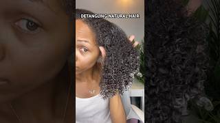 Detangling Dry Natural Curly Hair On Wash Day (Pre Poo) #naturalhair #curlyhair #washday #detangling