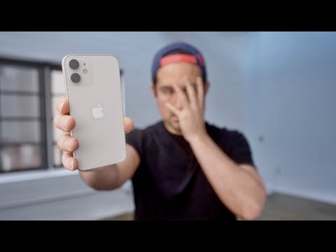 Why the iPhone 12 Mini  Failed 