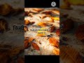 inspiration quotes #✨🫰 short #viral#quotes#status#trending#ytshortvideo