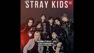 Daha Çok Vardı Ama Sığmadı