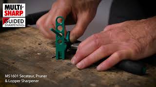 MS1601   Secateur, Pruner, Lopper Sharpener