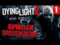 Стрим Dying Light 2 ➤ Прохождение #1 ➤ Дайнлайт 2 на русском