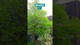 #weather #germany #rain #weathergermany #rain #shortsfeed #fypage