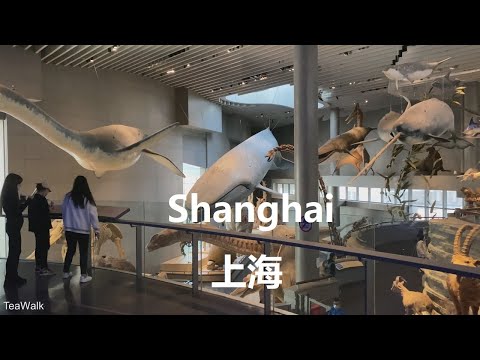 Beijing, China | Dinosaur Jurassic | Kultur- & Museumstour 4K