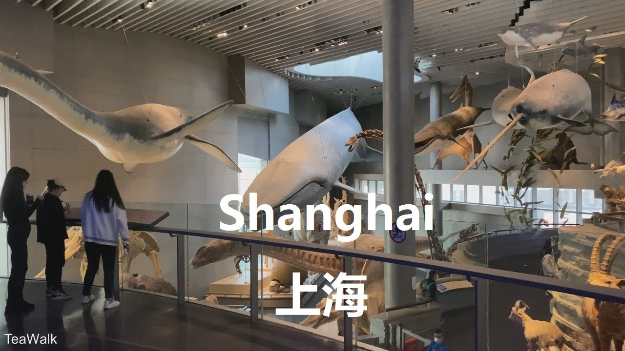 Beijing, China | Dinosaur Jurassic | Kultur- & Museumstour 4K