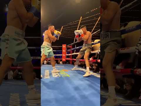 When a Panda Steps Into the Ring – Hilarious Boxing Debut! 🐼🥊 #ai #mma #boxing #funny