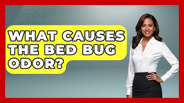 What Causes The Bed Bug Odor? - Insects and Invaders