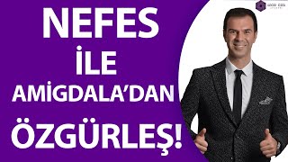 NEFES İLE AMİGDALA'DAN ÖZGÜRLEŞ!(Kişisel Gelişim Videolarım ) Resimi