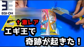 エギ王で奇跡（こんな所で運を使ってしまった）