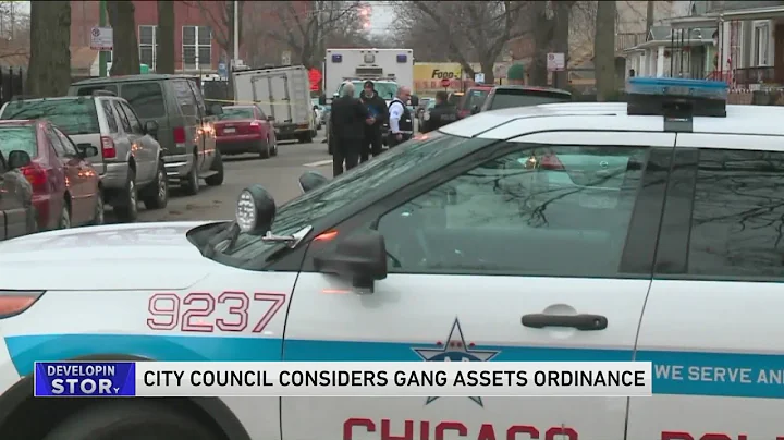 Lightfoot's controversial gang assets proposal up ...
