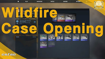CS:GO | Wildfire Case Opening