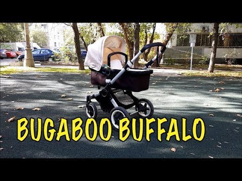 Video: Onko bugaboo buffalo lopetettu?