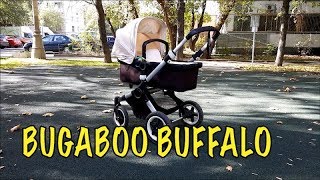 ОБЗОР коляски BUGABOO BUFFALO