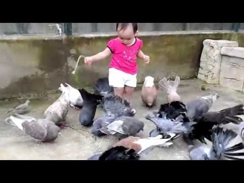 A Day At The Farm In The City Seri Kembangan Youtube