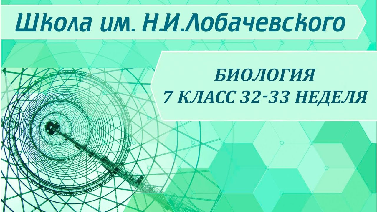 ⁣Биология 7 класс 32-33 неделя Класс Ракообразные