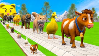 Long Slide Game With Cow Elephant Gorilla Hippopotamus Tiger - 3d Animal Game - Funny 3d Animals screenshot 3