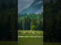 Abu toha adnan new Islamic short video #youtubeshorts #viralvideo #foryoupage #subscribe #support