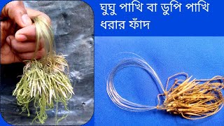 ঘুঘু পাখি ধরার ফাঁদ।