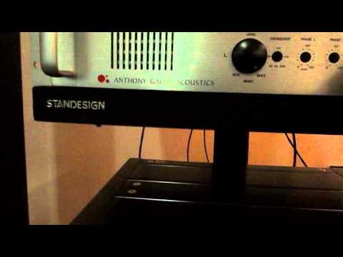 What Anthony Gallo Acoustics Reference 3.1