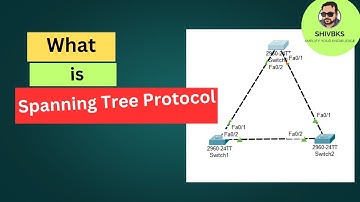 Spanning Tree Protocol Explained:-A Step-by-Step Guide in Hindi