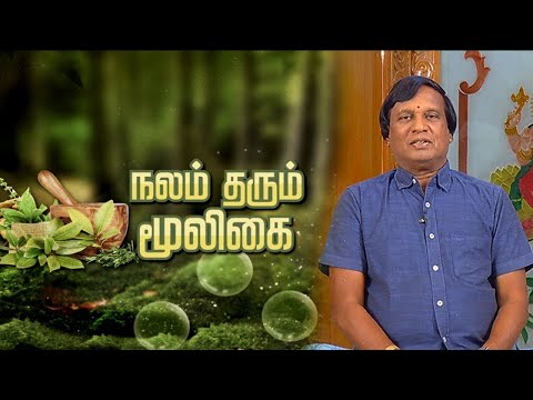 நலம் தரும் மூலிகை | Nalam Tarum Mooligai | Makkal TV