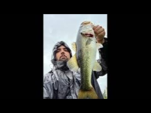 bass fishing after huricane Nicole in fl #bassfishing #florida #hurricanenicole