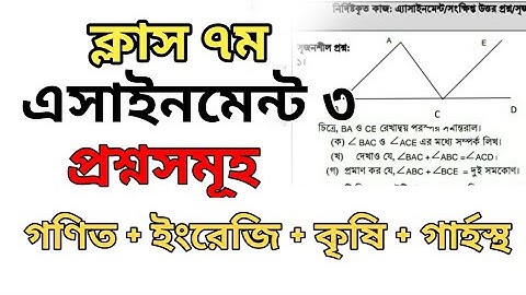 Class 7 Assignment 3 Questions | 3rd Week Class 7 Assignment | তৃতীয় সপ্তাহের এসাইনমেন্ট প্রশ্ন ৭ম