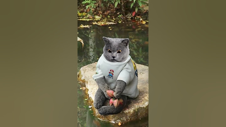 Stop Cleaning!✋ Let's Save Our Dirty Rivers Now💧🍓 #catvideos #catmemes #trending