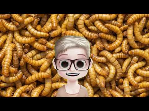 Vídeo: Por que os vermes sonham em um sonho