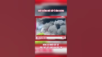 CHÁY XƯỞNG MÚT XỐP Ở BÌNH DƯƠNG, ĐỨNG XA NHIỀU CÂY SỐ VẪN THẤY CỘT KHÓI ĐEN BỐC CAO #diemtingiupban