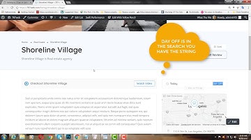 LOCO TRANSLATE  Find strings