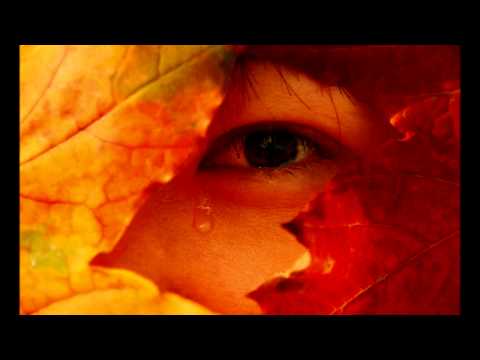 Parting Tears Sad Arabic Nasheed Abdullah Al Khashrmi 