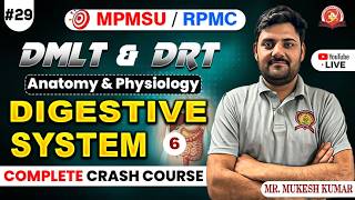 Digestive system (Part-06) | Class- 29 | Anatomy & Physiology | DMLT & DRT #mpmsu #rpmc