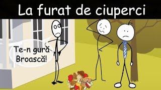 AVENTURI CU VACA: La Ciordit De Ciuperci