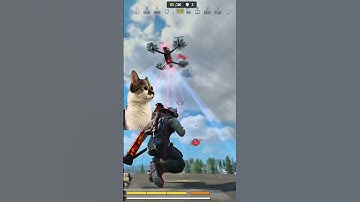 Meow camping near bus station #callofdutymobile #codmobile #codm #shorts 