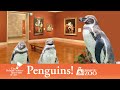 Penguins visit nelsonatkins ahead of kansas city zoo opening