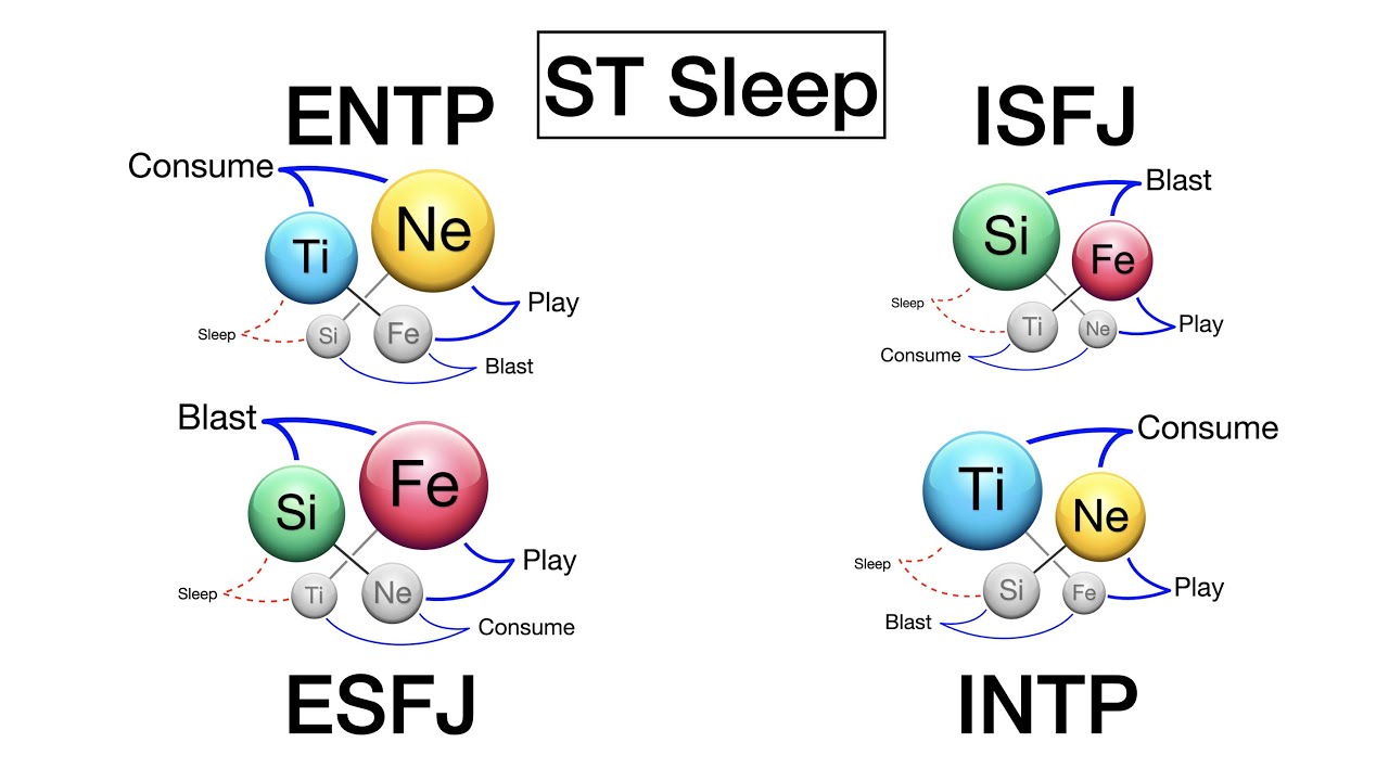 Nt Entp And Intp How To Use St Si Ti Sleep Typology Central