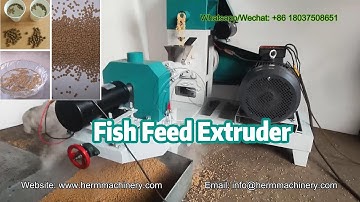 How the Dry Type Floating Fish Pellet Machines works - Herm Machinery #fishfeedmachine #feedmill