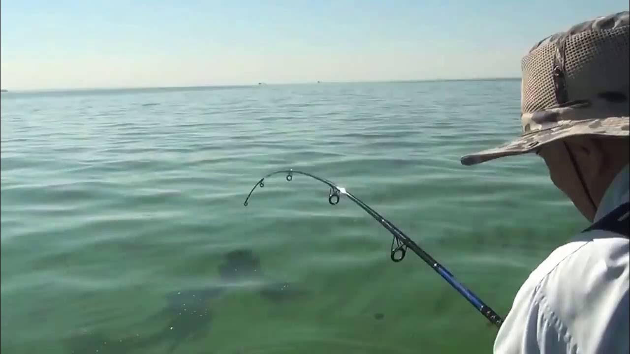 видео ловли с берега. донка для рыбалки. ловля леща на фидер. рыбалка летом на поплавочную удочку. поплавок на донку закидушку.