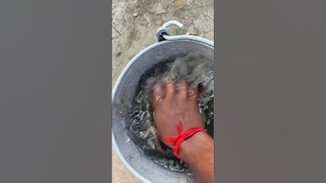 Những Vật Dụng Đa Năng & Tiện ích Trong Đời Sống Hiện Đại #1231