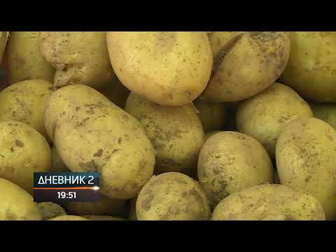 Video: Polnjeni Krompir, Pečen Na Polovice
