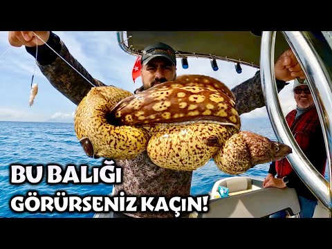 Korkunç Bir Balık Yakaladık / Kameraman Denize Atlayacaktı !!