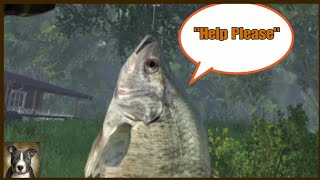 Fishing Planet Funny Moments - Most LIT Game Ever!!! screenshot 5