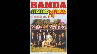 Perro Aguayo - Banda Cuisillos #shorts